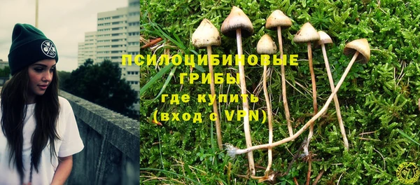 мескалин Горно-Алтайск
