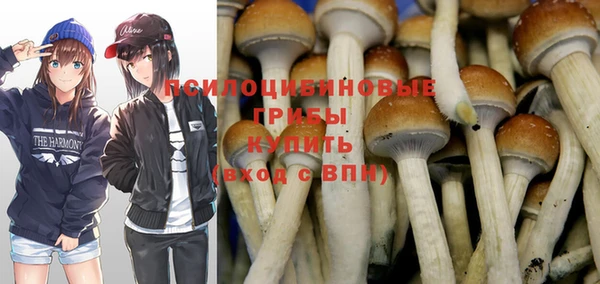 кристаллы Горнозаводск