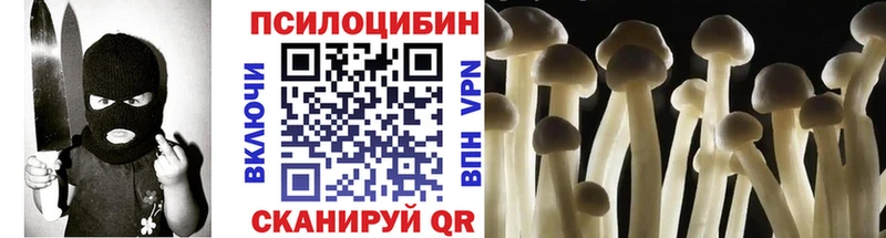 купить наркотик  Муром  Галлюциногенные грибы MAGIC MUSHROOMS 