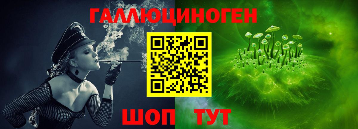 Псилоцибиновые грибы Psilocybine cubensis Муром