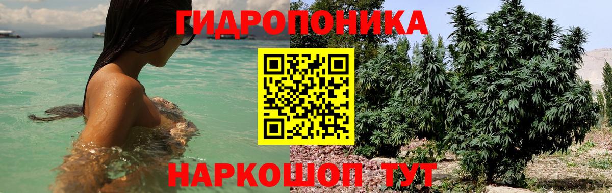 Канабис White Widow  Канабис OG Kush  Муром  Вход с VPN 